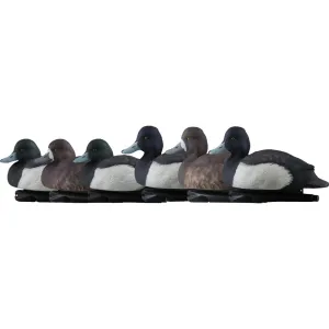 AvianX Top Flight Duck Decoys (Blue Bills 6 pk.)