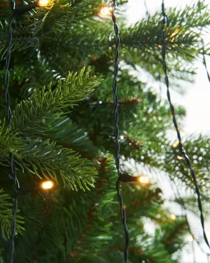 LED Christmas Tree Light String, 2.5 m